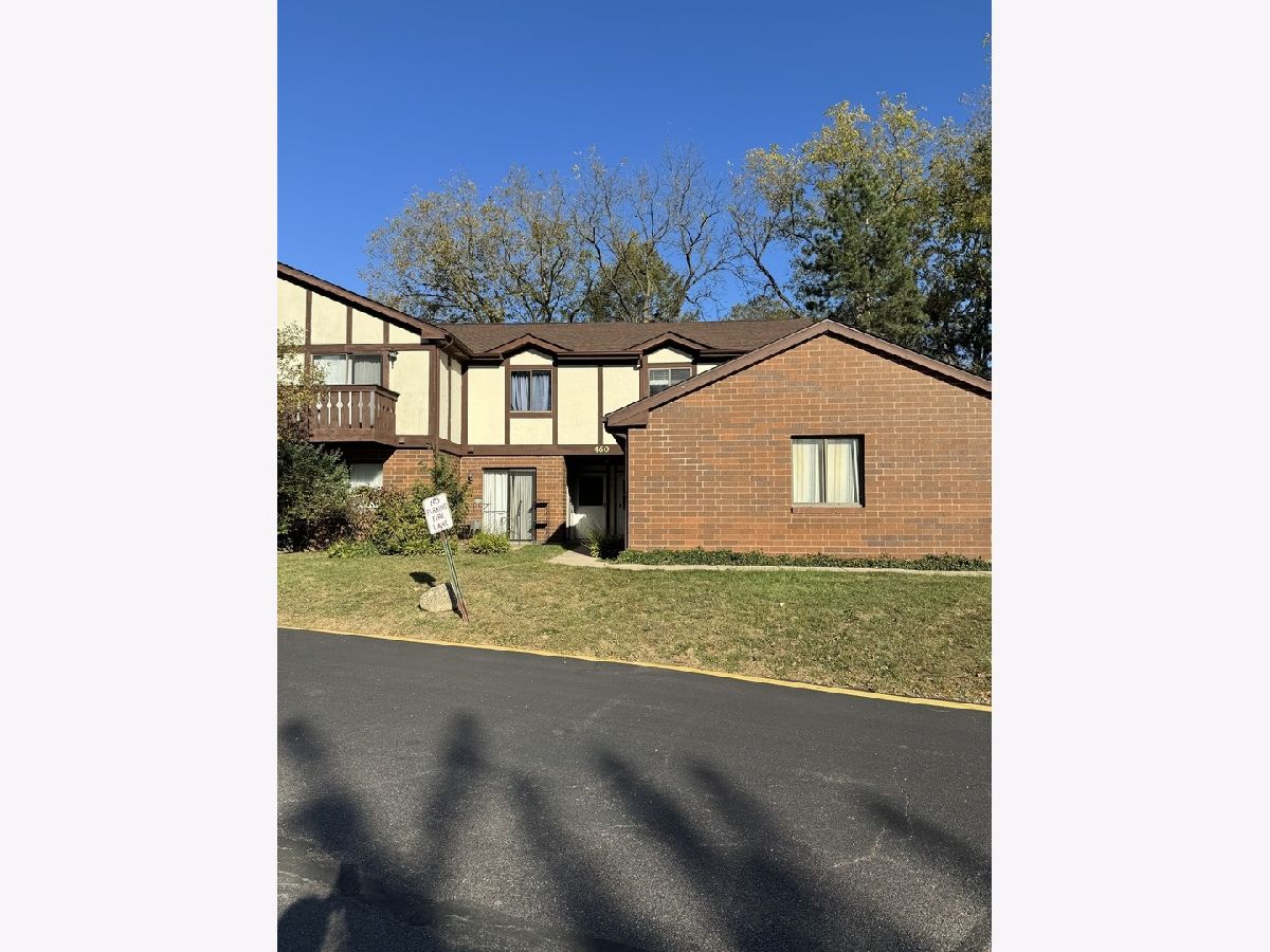 Townhomes & Condos & Homes Sold Brandywine Crystal Lake Illinois, 460 Brandy
