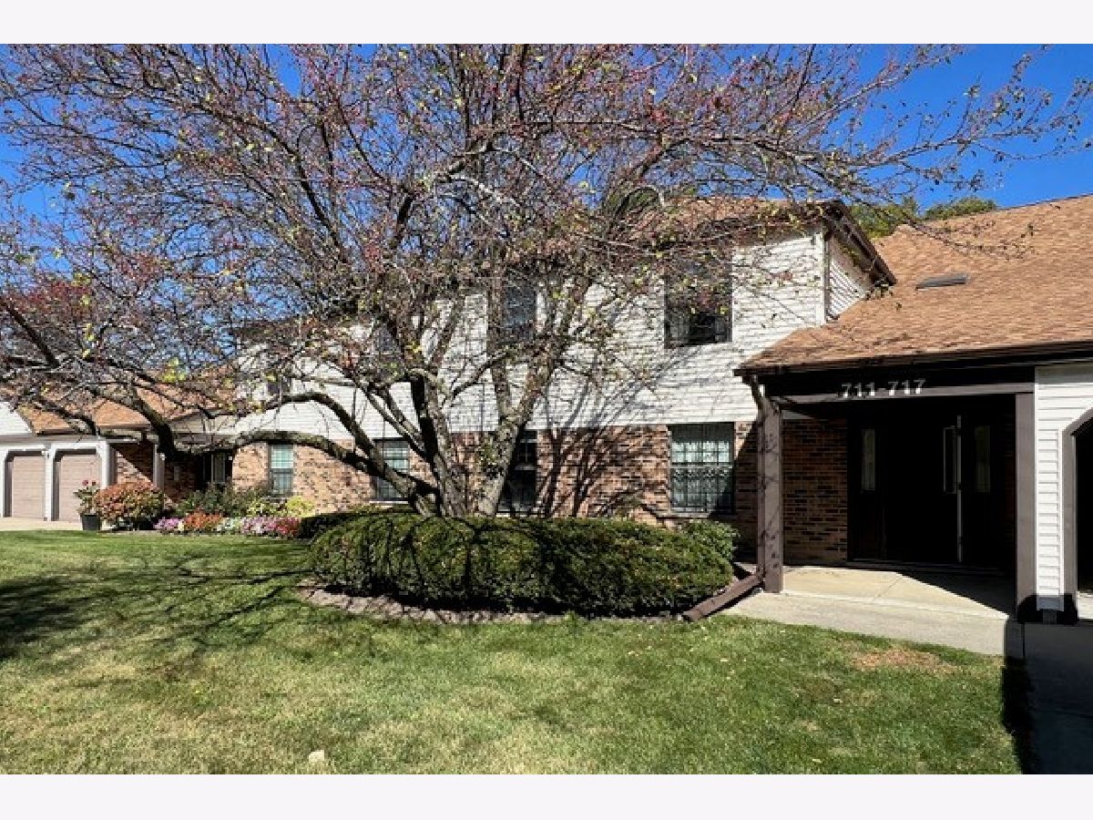 Condominiums Sold Chatham Buffalo Grove Illinois, 713 Weidner