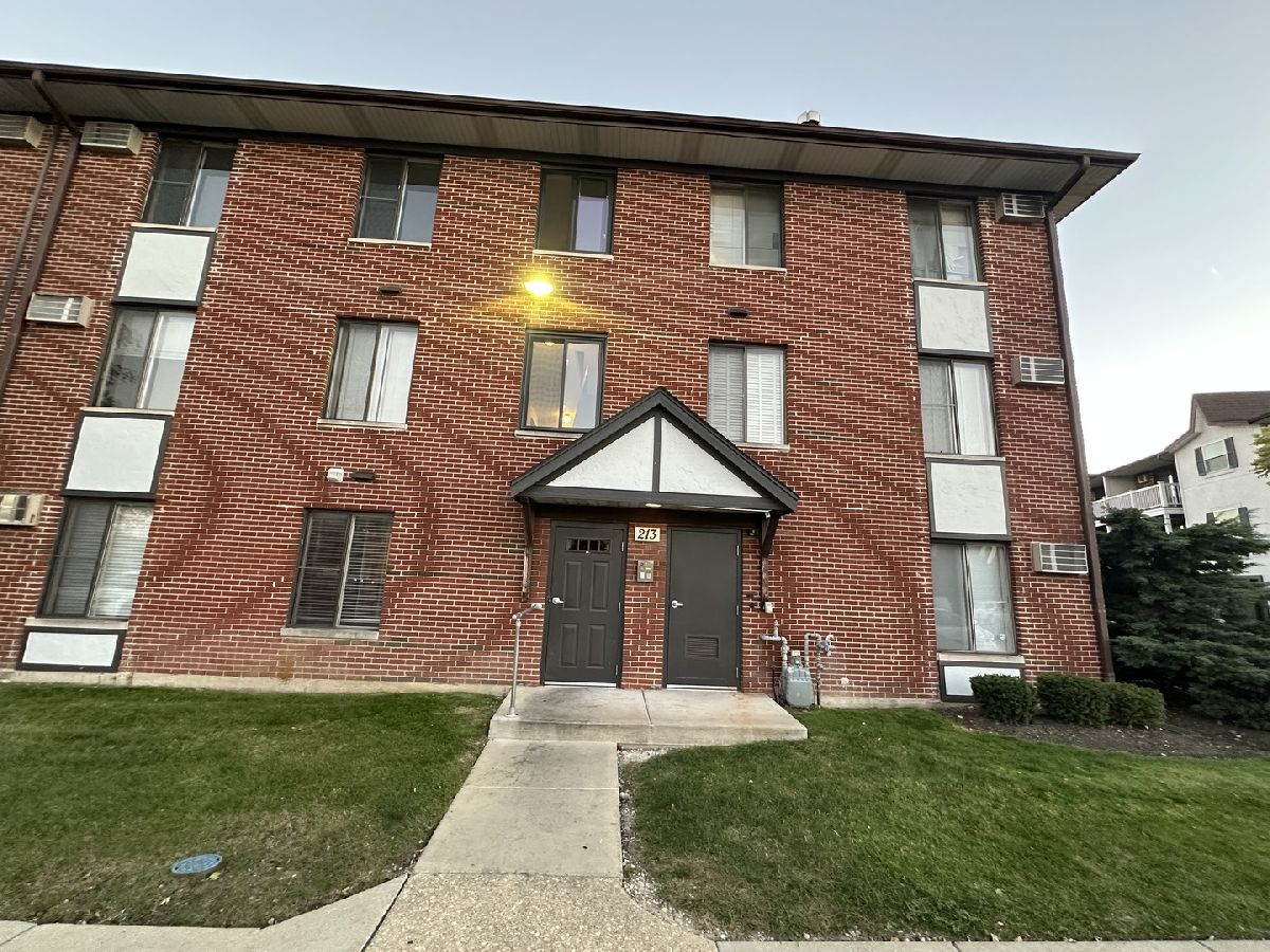 Condominiums Sold Willows Of Fox Valley Aurora Illinois, 213 Gregory