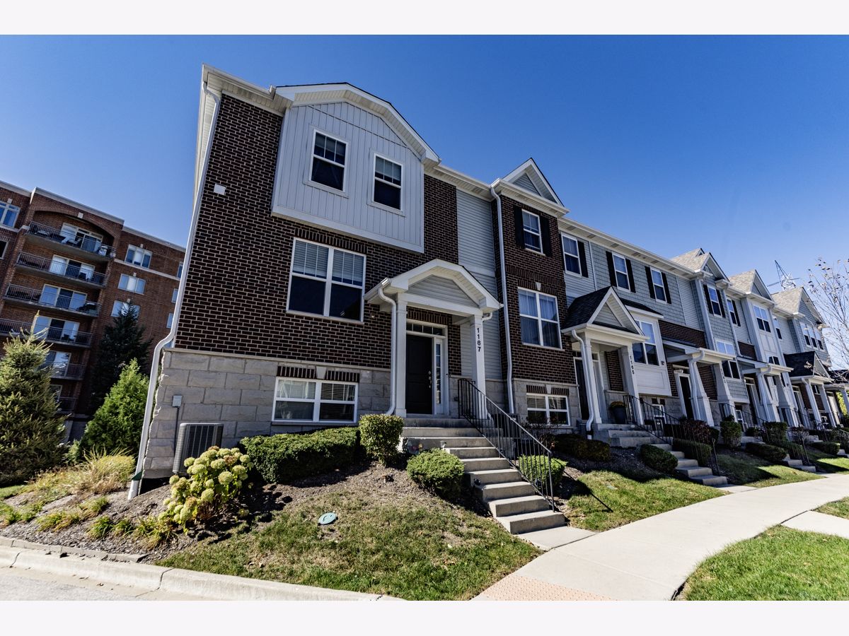 Condos & Townhomes Rented Colfax Crossing Des Plaines Illinois, 1167 Colfax