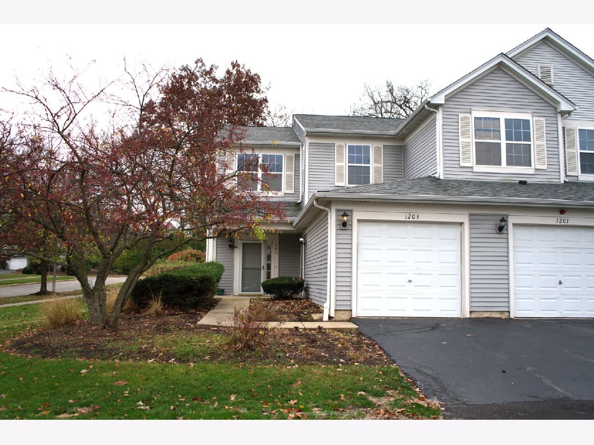 Townhomes & Homes Sold Aragon Carpentersville Illinois, 1203 Brookdale