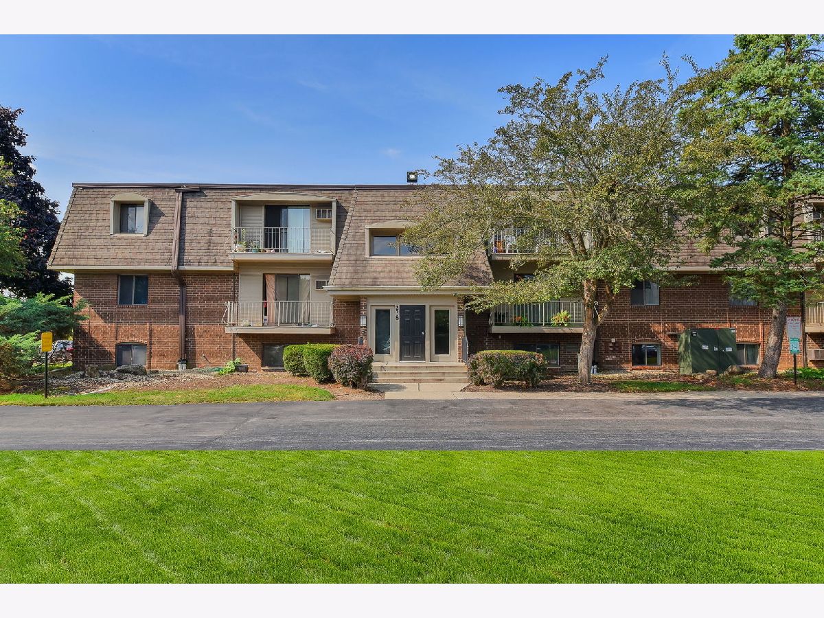 Condominiums Sold Olive Trees Naperville Illinois, 238 Bailey