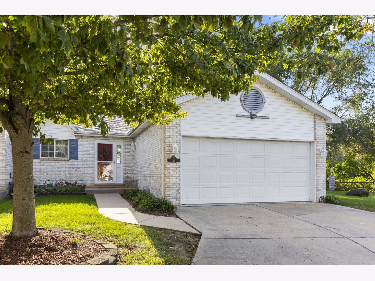 Townhomes & Homes Sold Lighthouse Cove Braidwood Illinois, 128 Harbor Landing