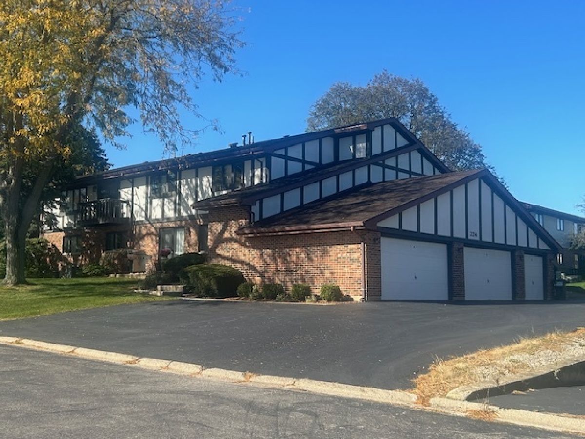 Condos & Townhomes Sold Manor Hill New Lenox Illinois, 224 Manor