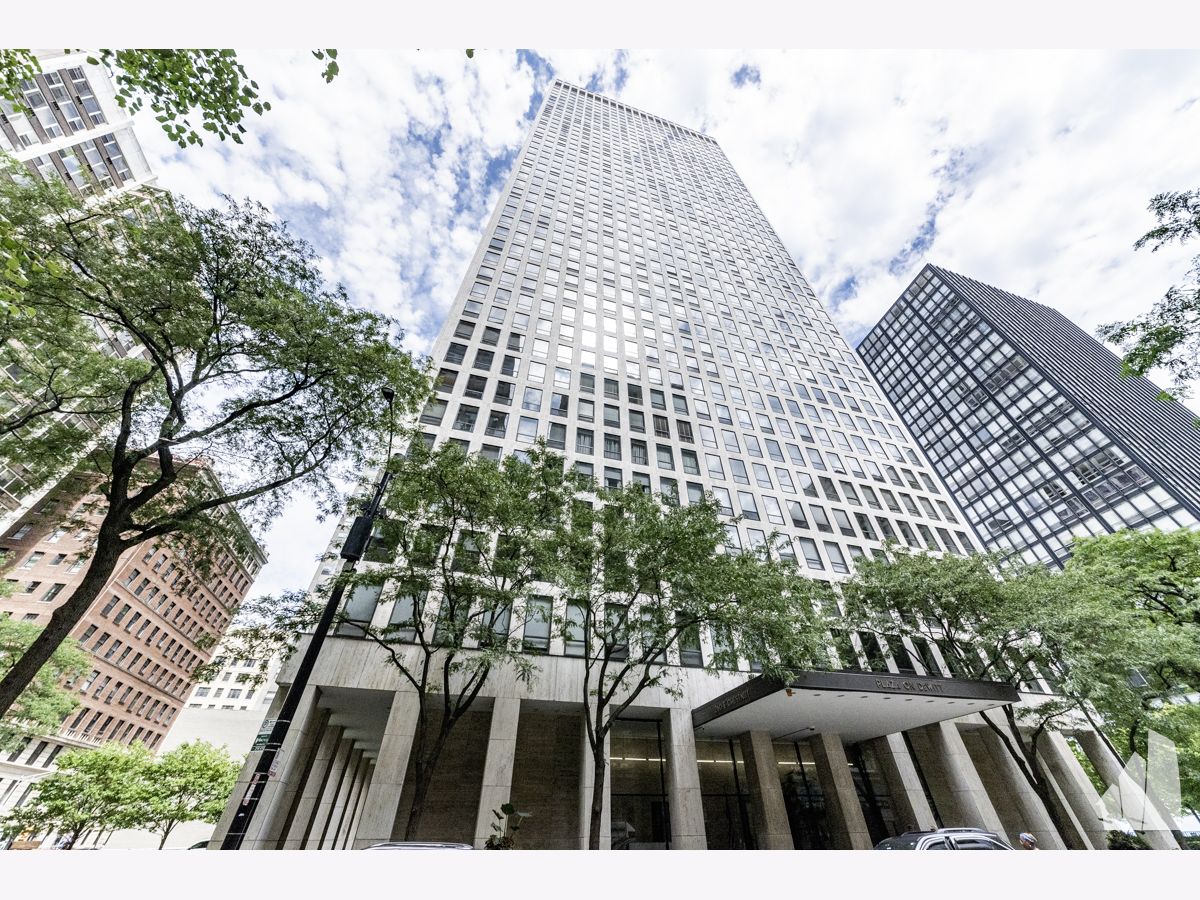Condominiums Sold Plaza On Dewitt Chicago Illinois, 260 Chestnut