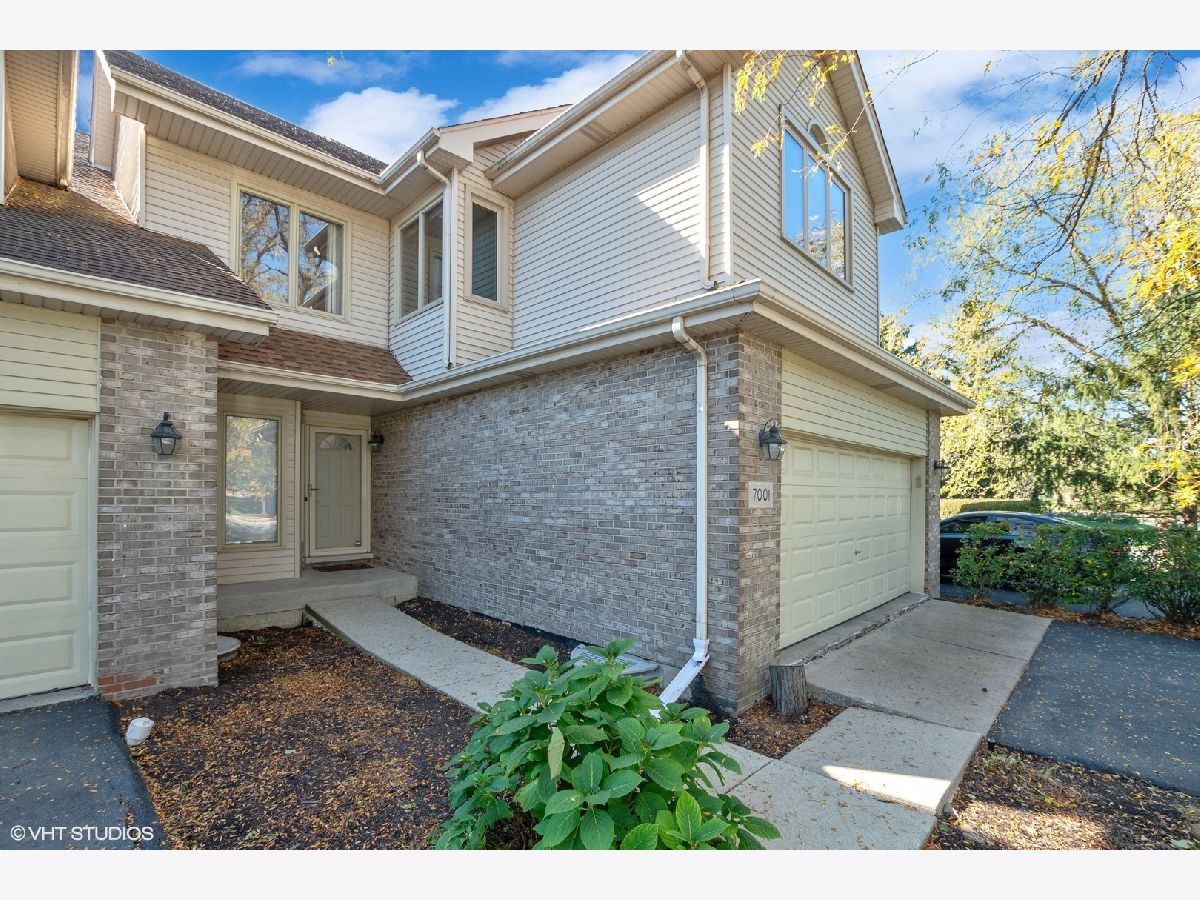 Townhomes Sold Meadow Mews Tinley Park Illinois, 7001 Plymouth