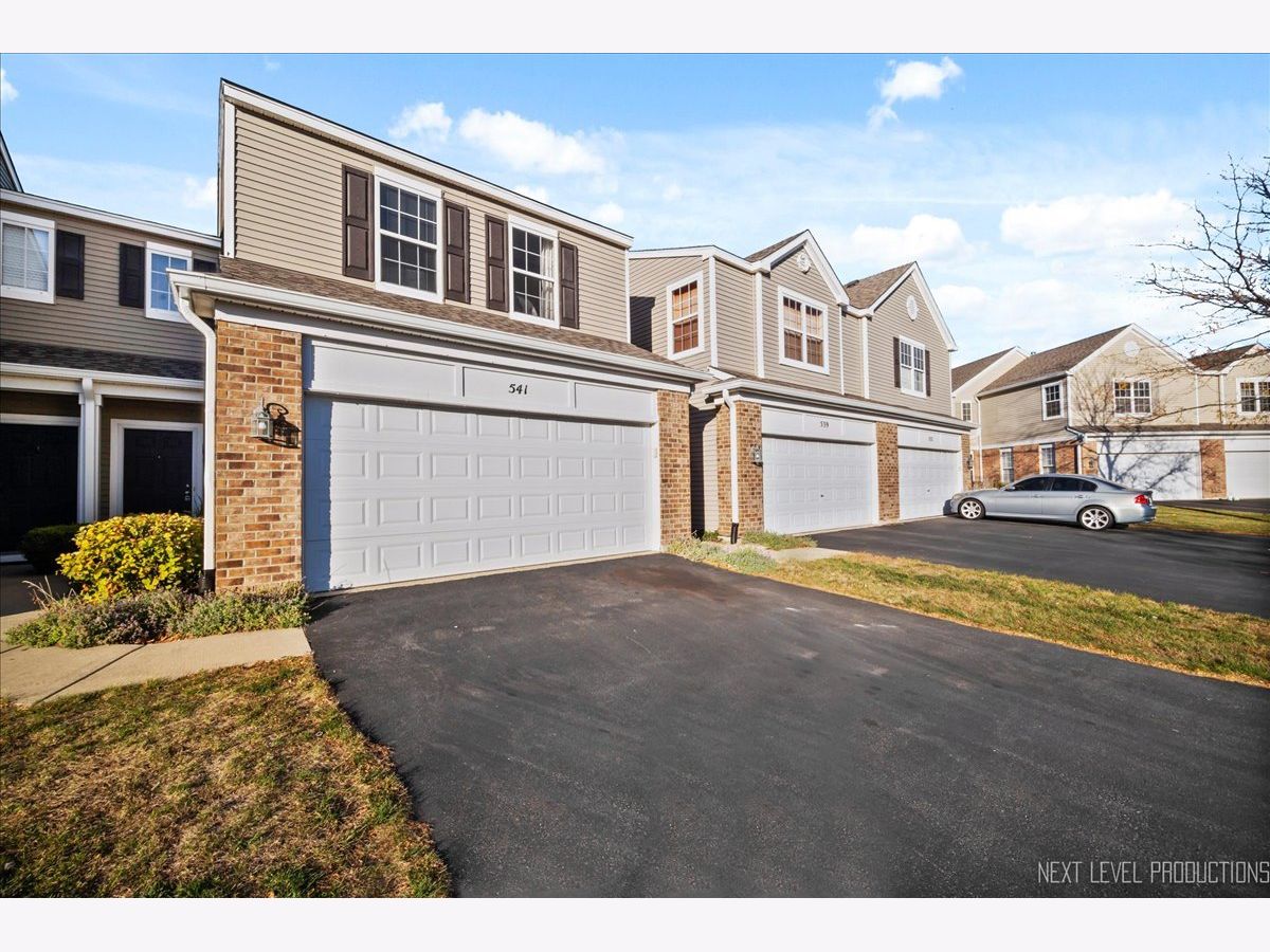 Townhomes Sold Springbrook Townhomes Oswego Illinois, 541 Springbrook