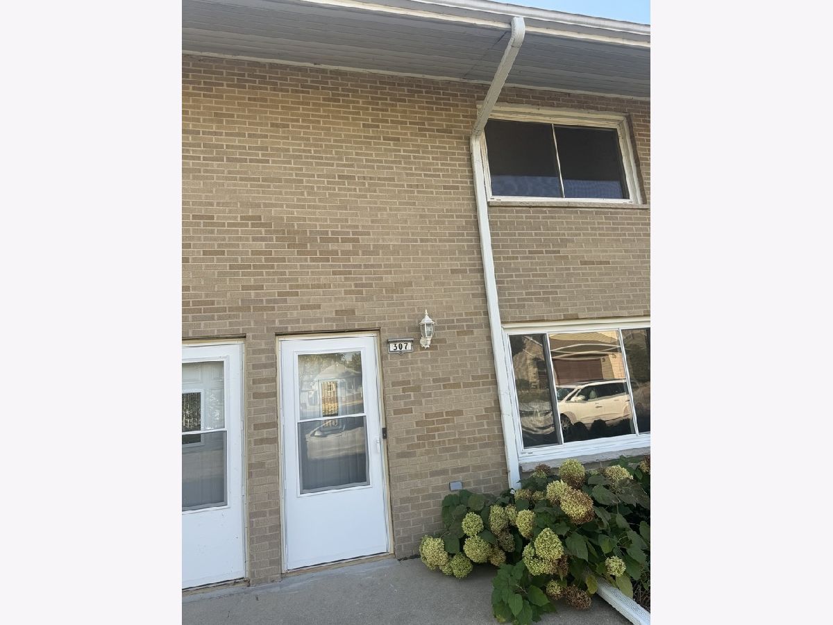  Rented Spring Valley Illinois, 307 2nd