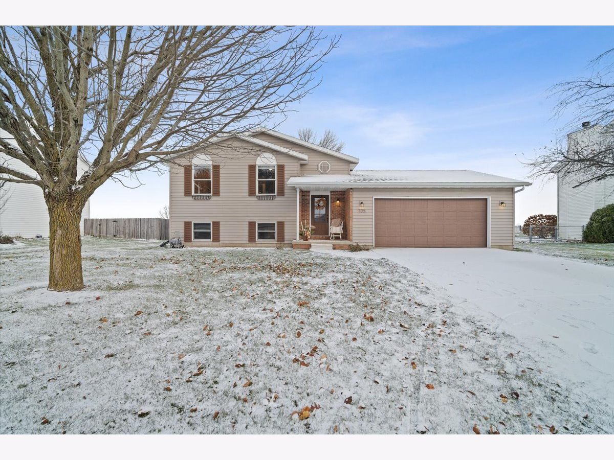 Homes Sold Havens Grove Hudson Illinois, 705 Platt