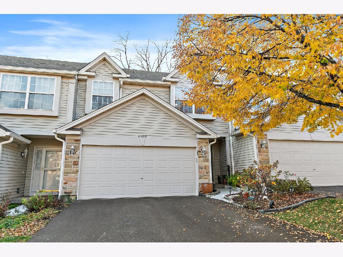 Townhomes Sold Sierra Woods Carpentersville Illinois, 8103 Sierra Woods