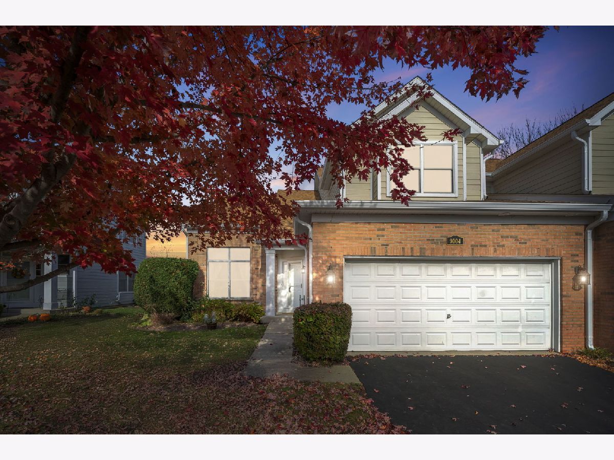 Townhomes & Homes Sold Falcon Green Lakewood Illinois, 9004 Falcon Greens