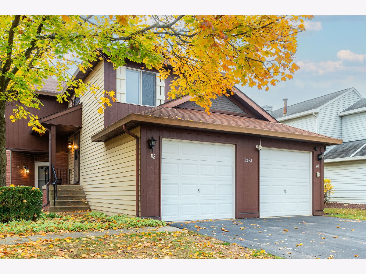 Condos & Townhomes & Homes Sold Villages Of Woodridge Woodridge Illinois, 2424 Danbury