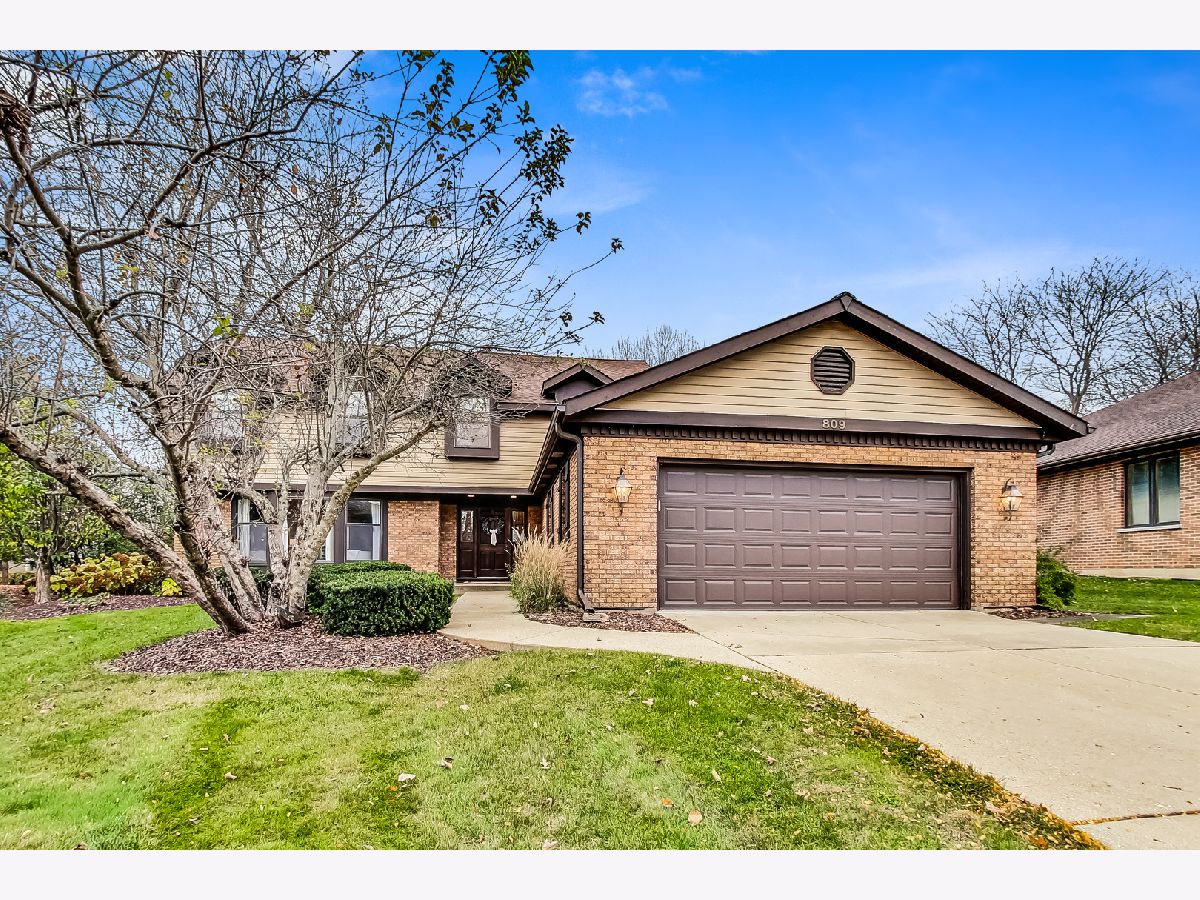 Homes & Condos & Townhomes Sold Red Top Libertyville Illinois, 809 Furlong