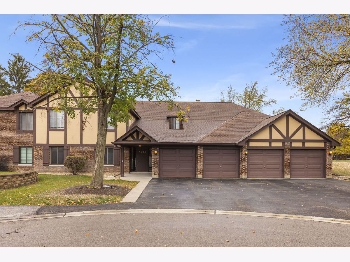 Condos & Townhomes Sold Briarcliffe Lakes Wheaton Illinois, 1603 Thames