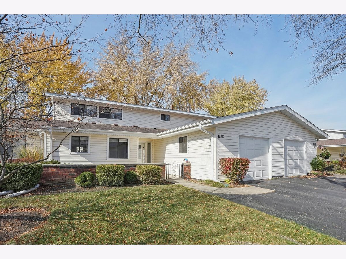 Townhomes & Condos & Homes Sold Weathersfield South Schaumburg Illinois, 1128 Taunton