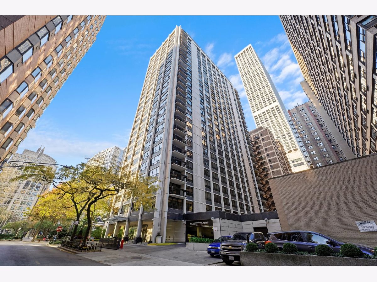 Condominiums Rented Pearson On The Park Chicago Illinois, 222 Pearson