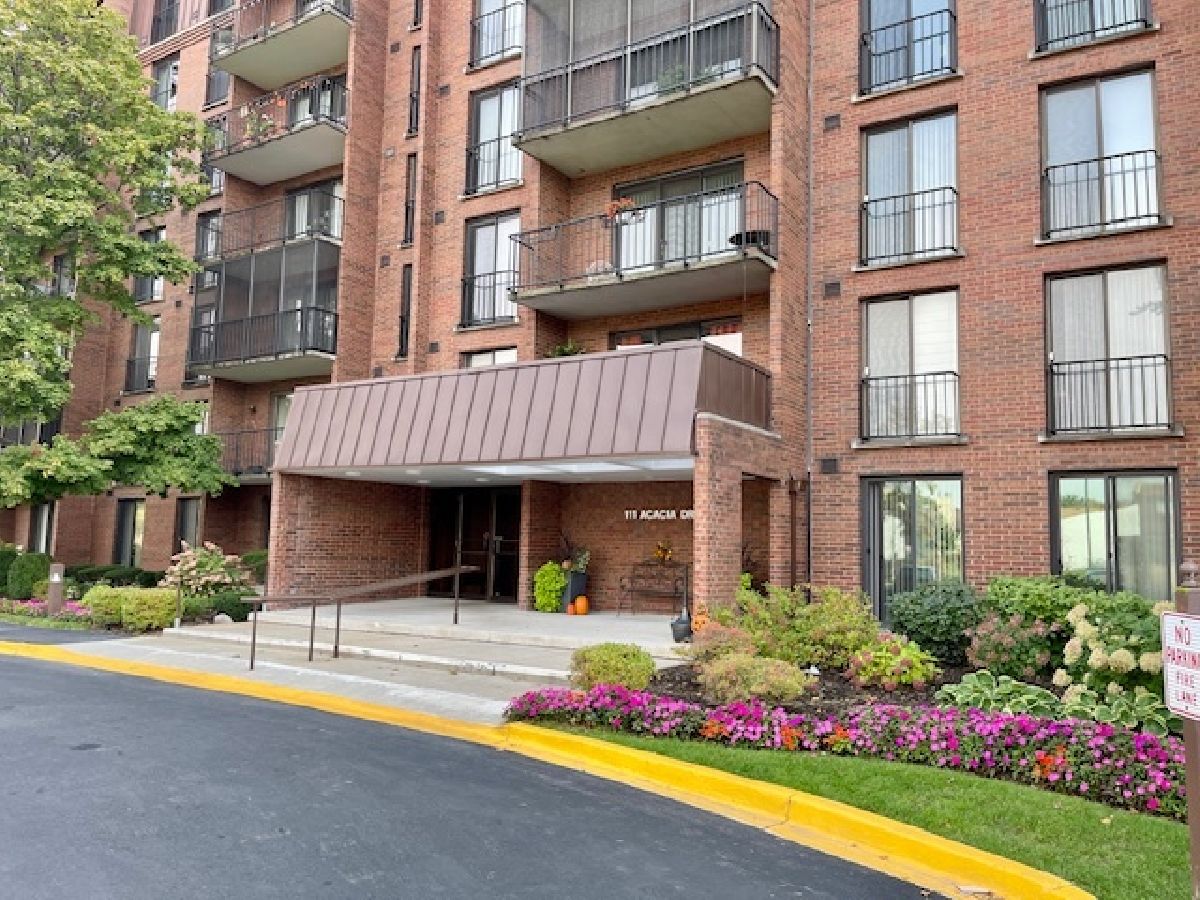 Condominiums Sold Wilshire Green Indian Head Park Illinois, 111 Acacia