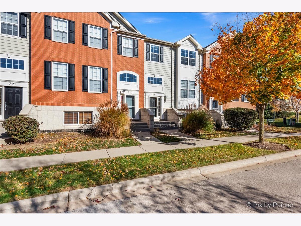 Homes & Townhomes & Condos Sold Shadow Hill Elgin Illinois, 225 Cassidy