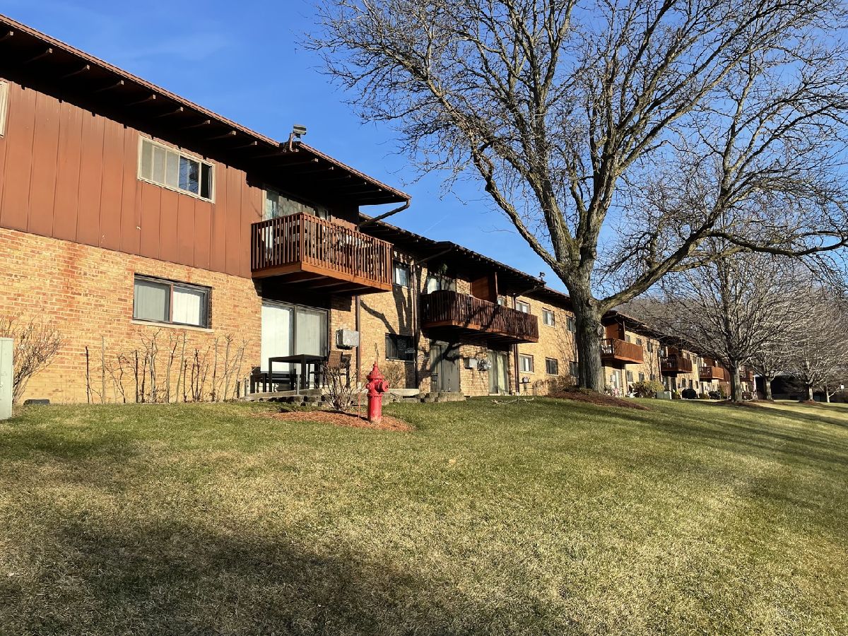  Rented Willow Springs Illinois, 100 Willow