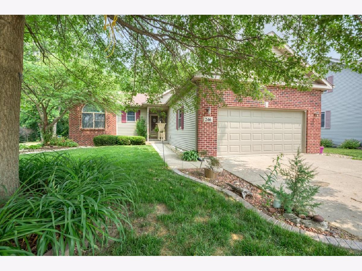 Homes Sold Pheasant Run Estates Braidwood Illinois, 246 Teal
