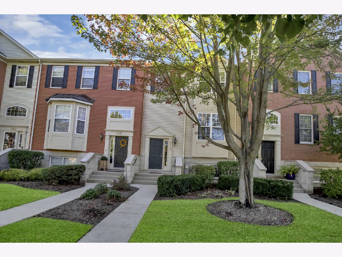 Townhomes & Homes Sold Castle Creek Bartlett Illinois, 763 Thornbury