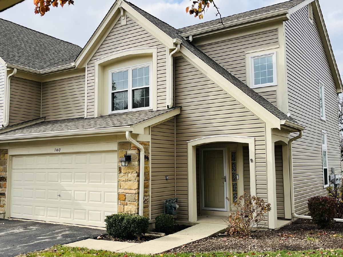 Townhomes & Condos Rented Towne Place West Schaumburg Illinois, 160 Holmes