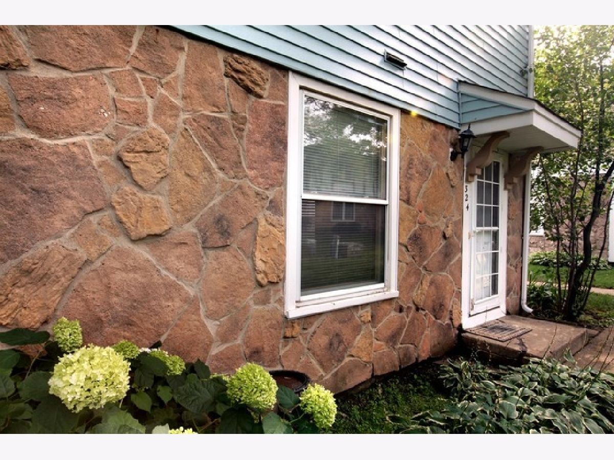Townhomes & Condos & Homes Rented Plymouth Farms Vernon Hills Illinois, 324 Mallard