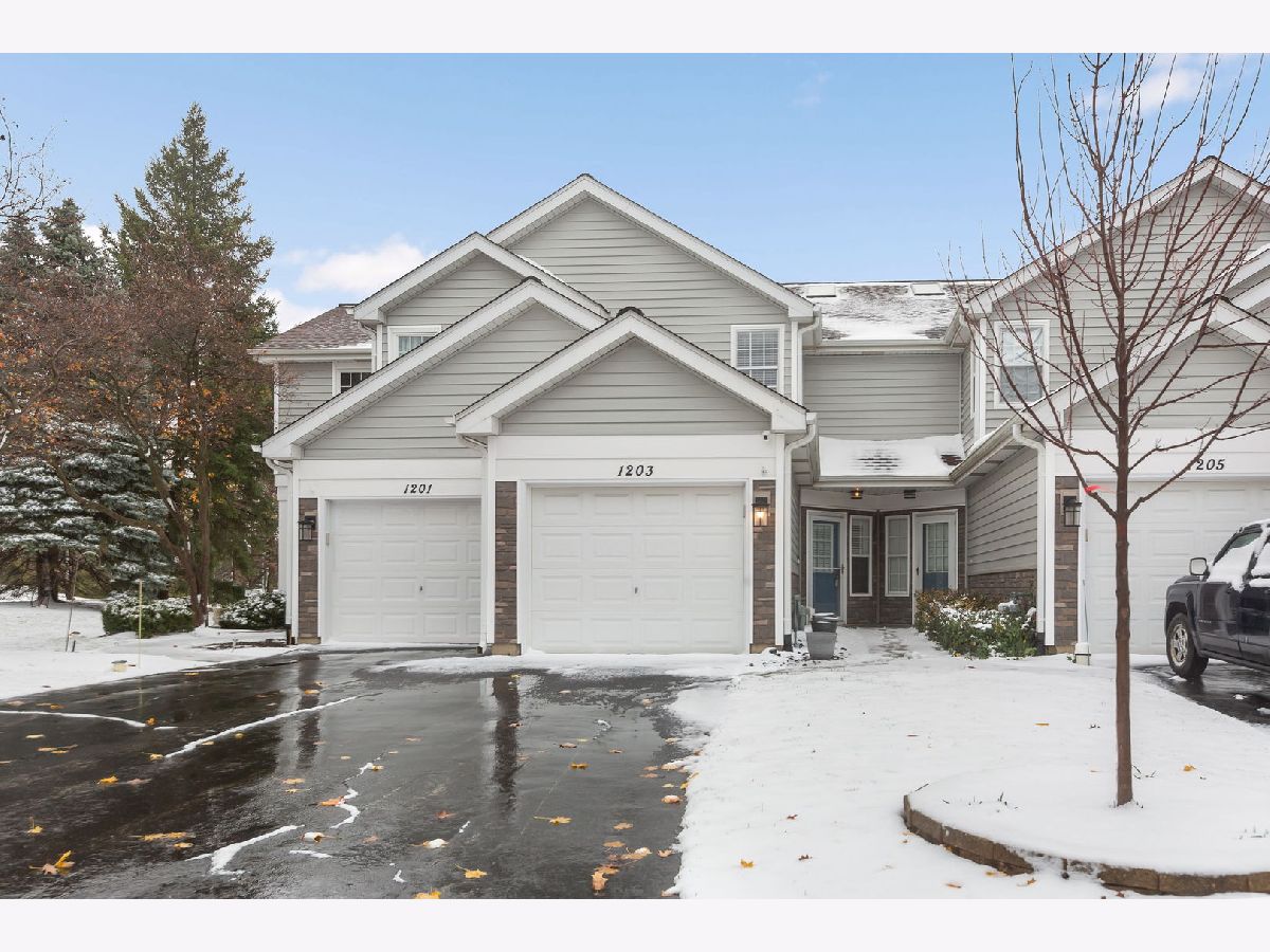 Townhomes & Condos Sold Wellington Court Schaumburg Illinois, 1203 Cranbrook