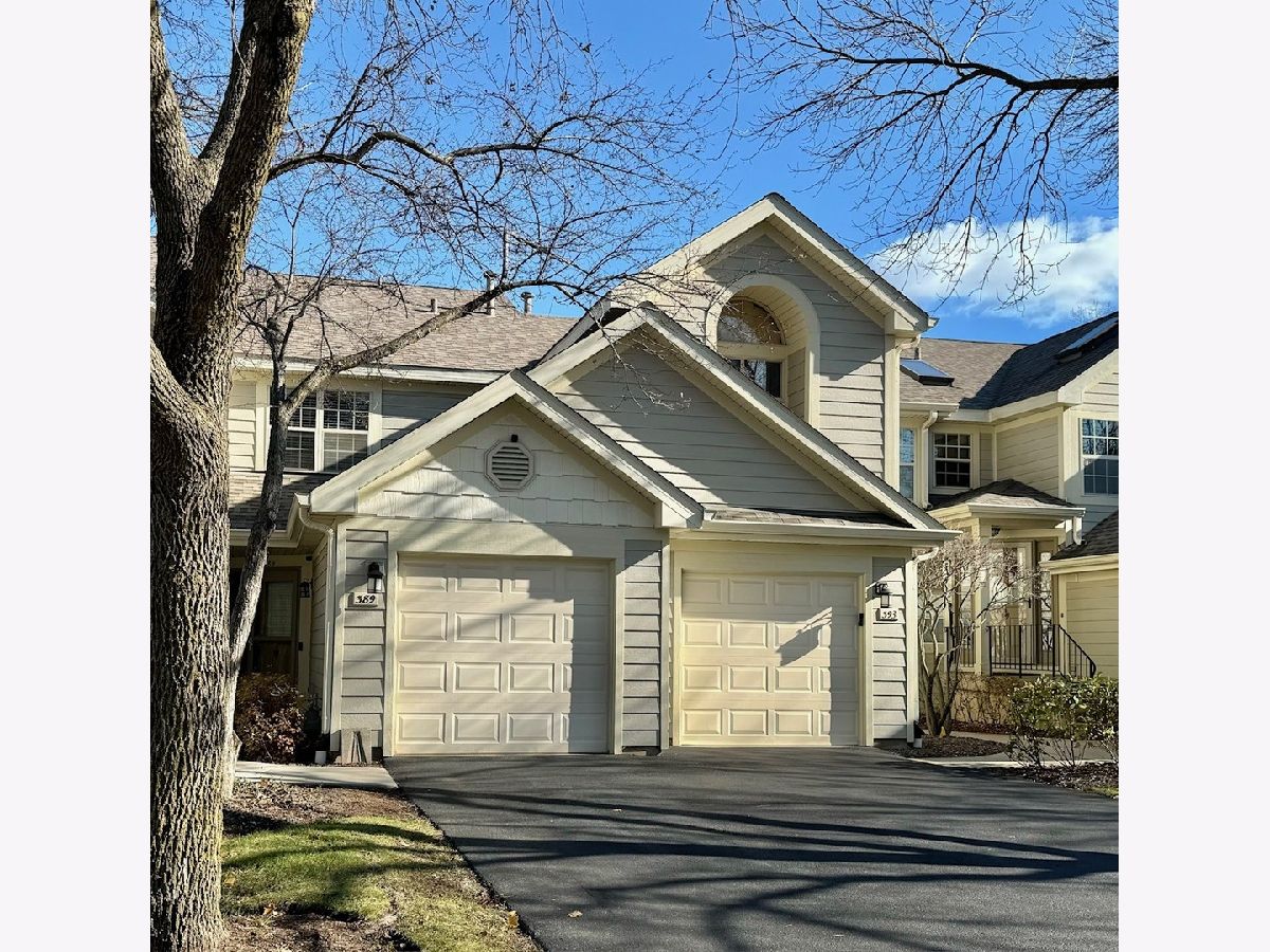 Townhomes & Condos Sold Hamilton Creek Palatine Illinois, 389 Hamilton