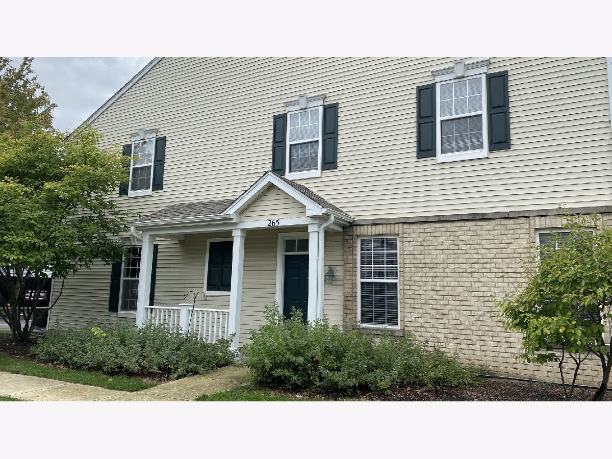 Townhomes Rented Springbrook Trails Oswego Illinois, 265 Springbrook