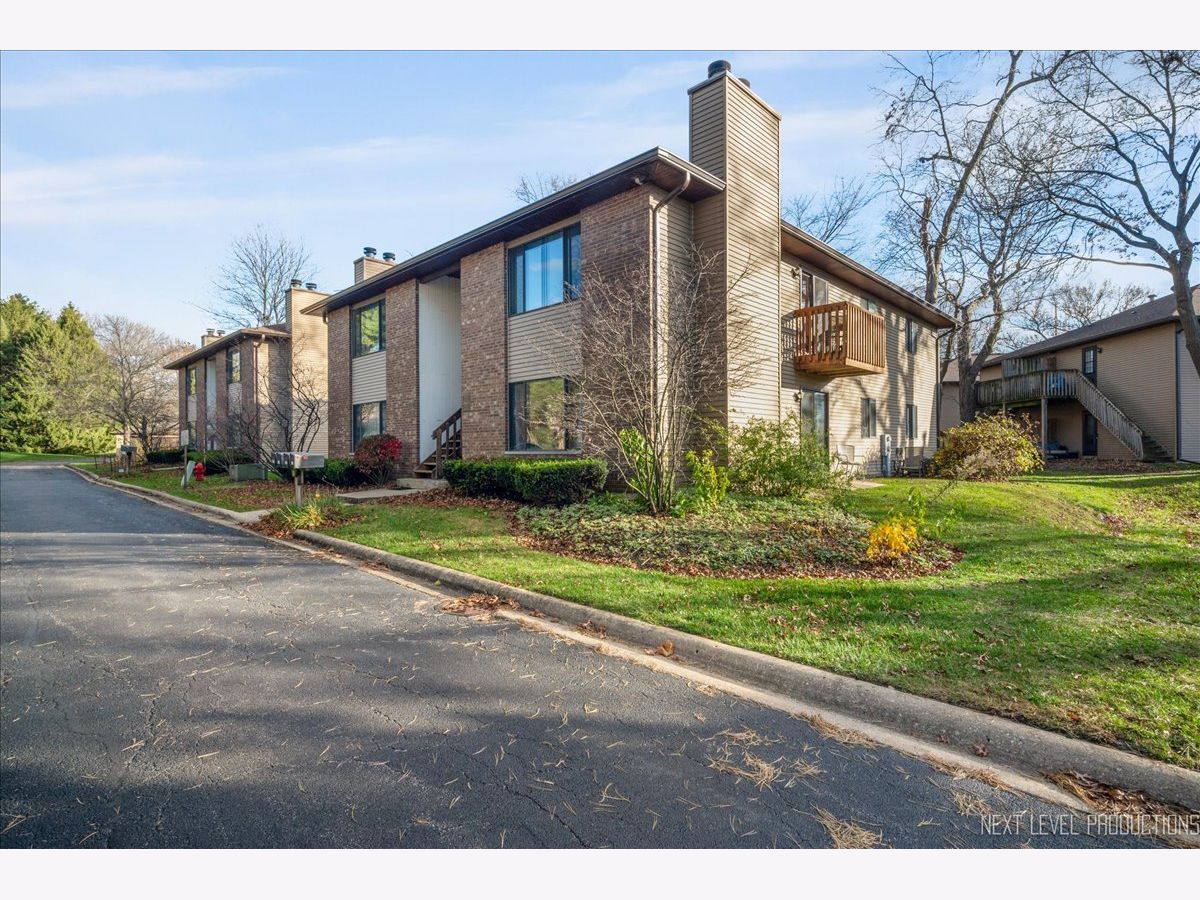 Condos & Townhomes & Homes Sold Pinebrook Meadows Geneva Illinois, 251 Harrison