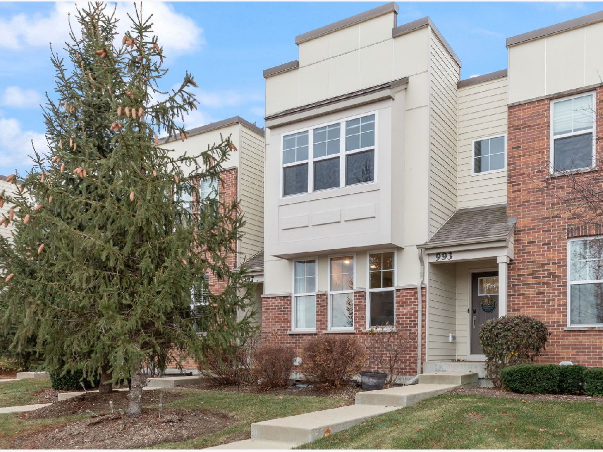 Townhomes Sold Union Square Aurora Illinois, 993 Times Square