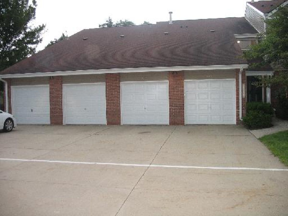 Townhomes & Condos Rented Hidden Lake Village Buffalo Grove Illinois, 105 Autumn