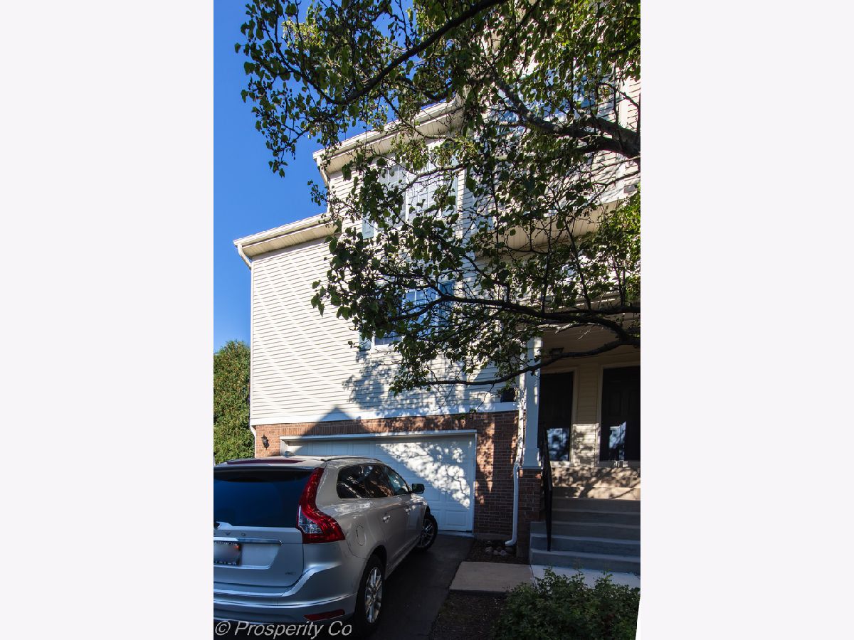 Homes & Townhomes & Condos Rented Amber Fields Aurora Illinois, 1852 Fredricksburg