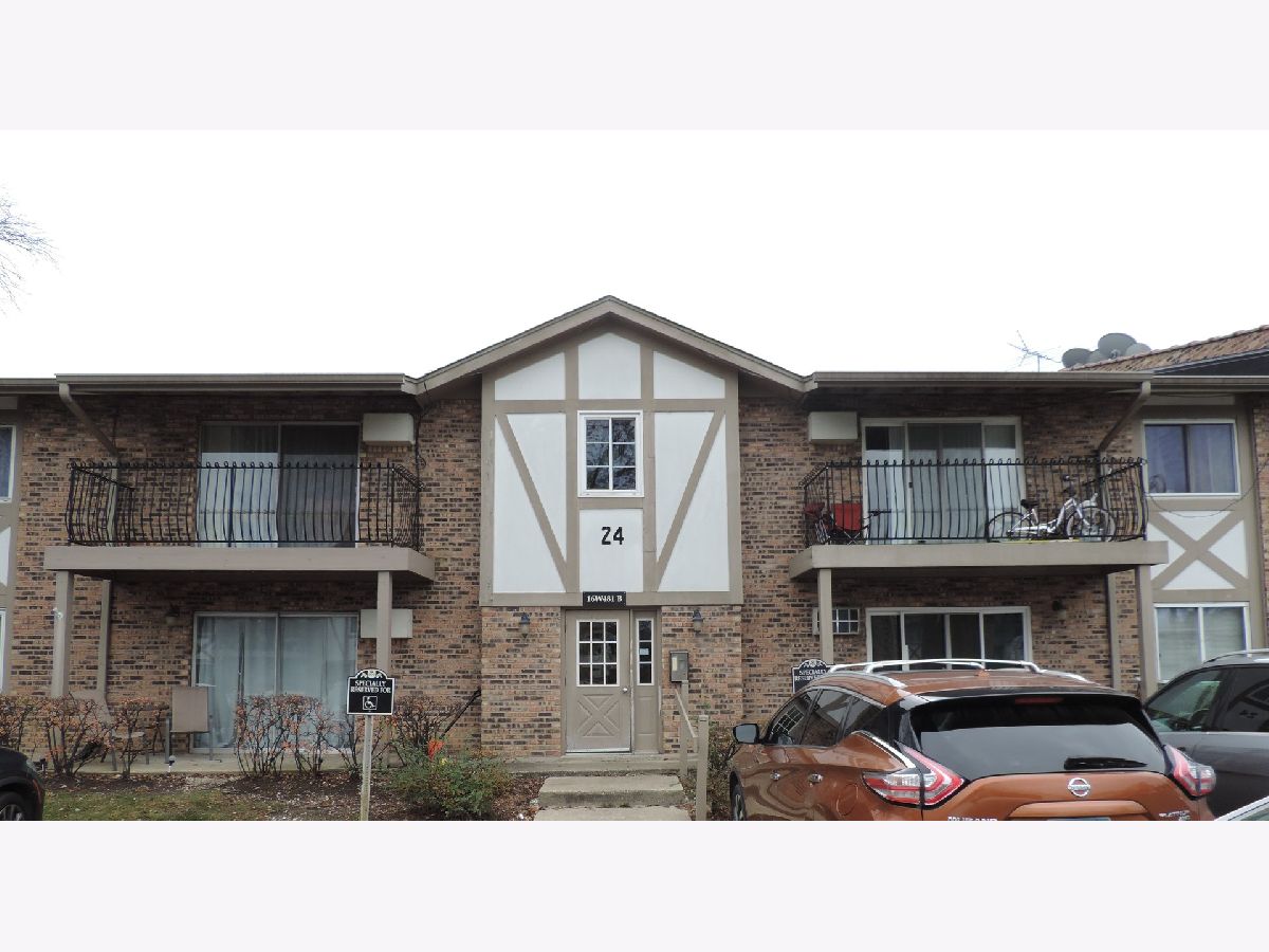 Condos & Townhomes Sold Stratford Green Willowbrook Illinois, 16W481 Lake