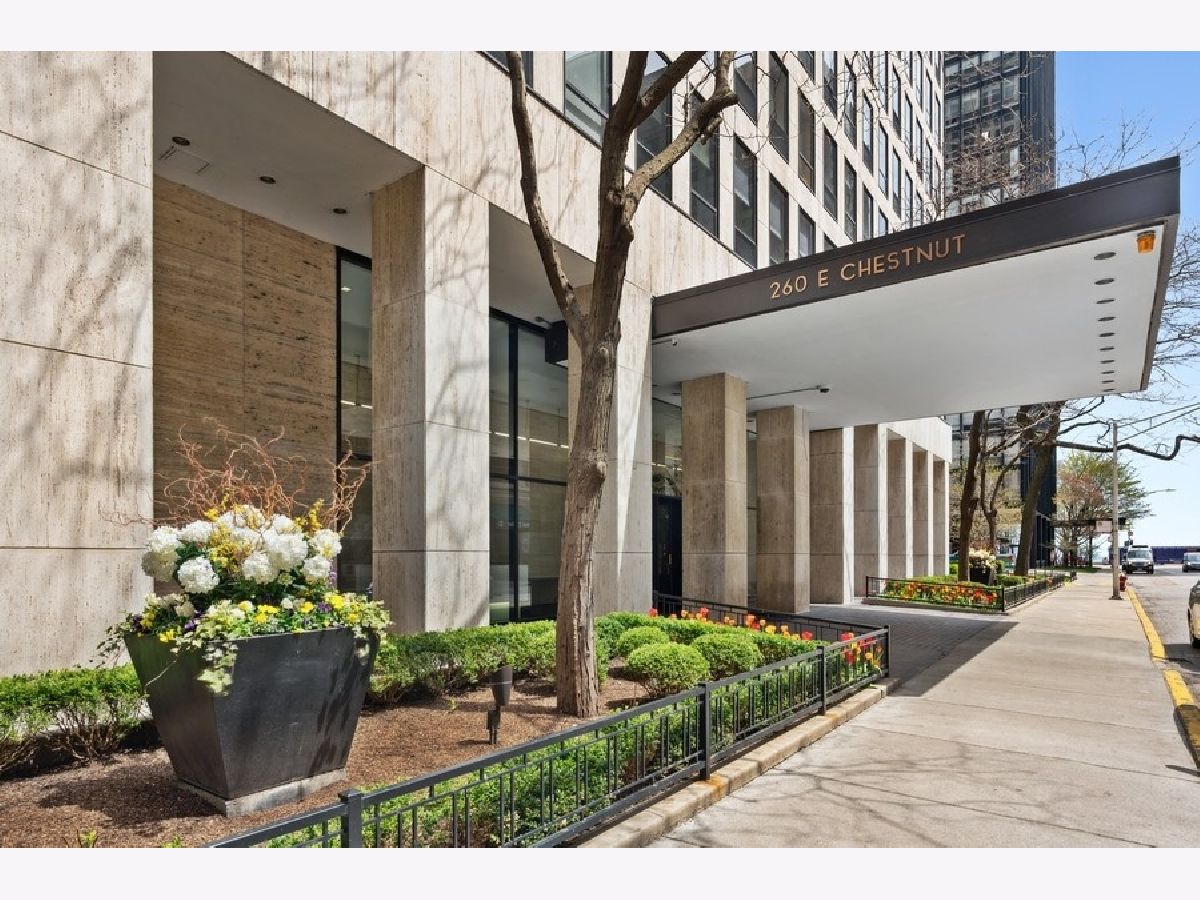 Condominiums Rented Plaza On Dewitt Chicago Illinois, 260 Chestnut