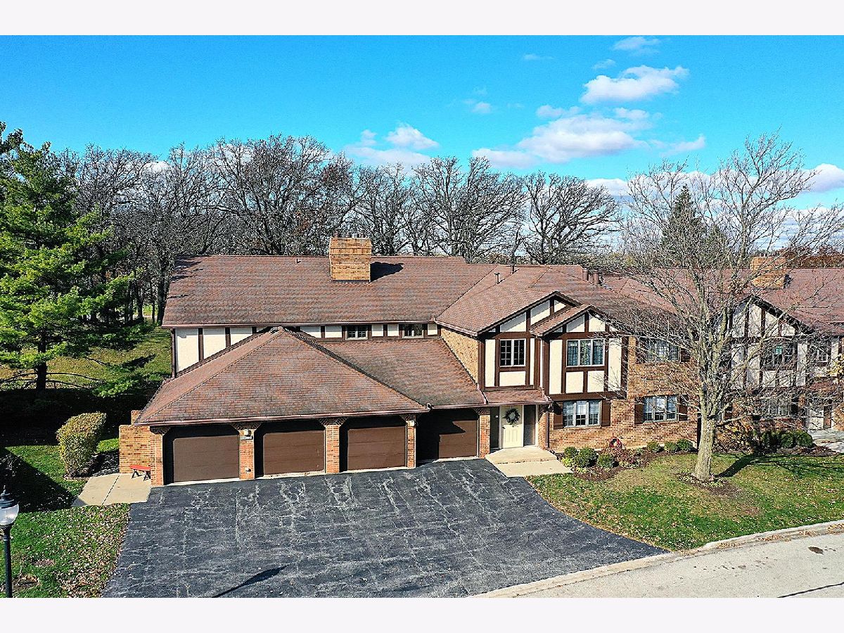 Condos & Townhomes Sold Oak Hills Palos Heights Illinois, 13210 Oak Ridge