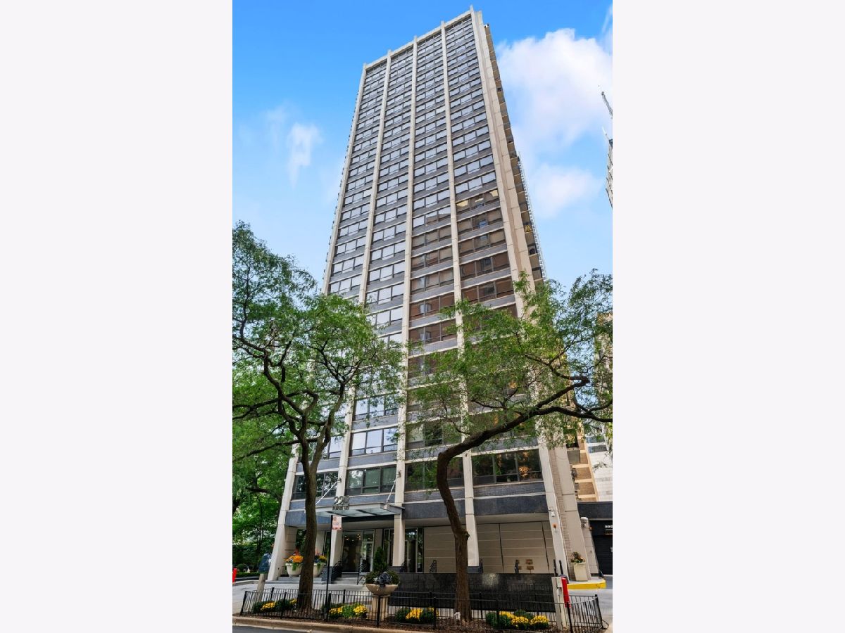 Condominiums Sold Pearson On The Park Chicago Illinois, 222 Pearson