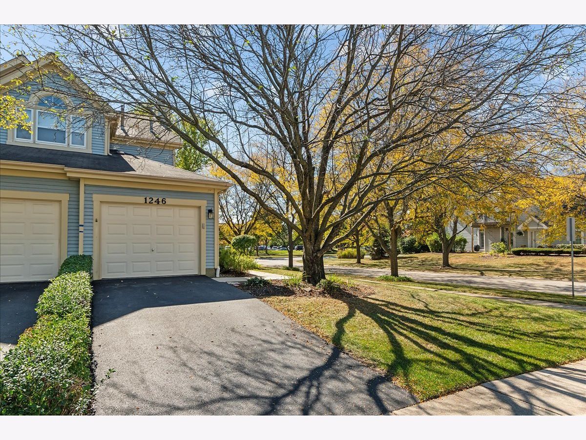 Townhomes & Condos Sold Villas Of The Fields Naperville Illinois, 1246 Tennyson