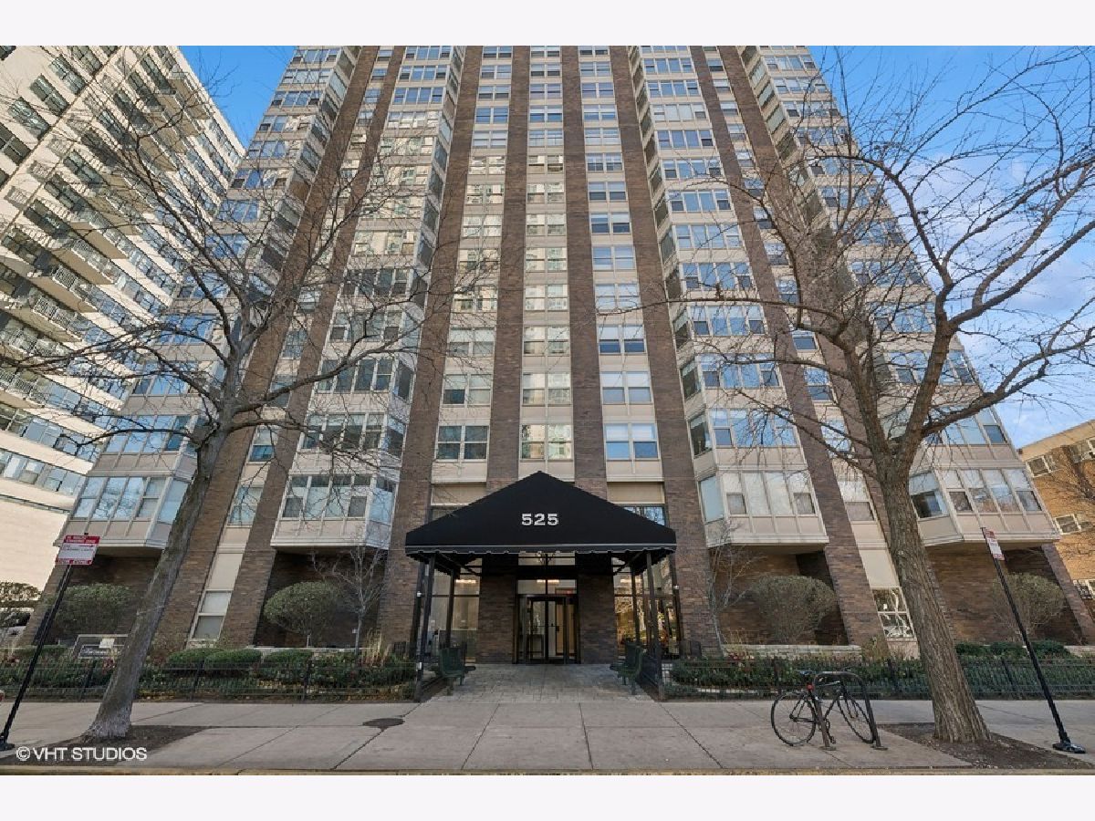 Condos & Townhomes & Homes Sold Hawthorne Place Chicago Illinois, 525 Hawthorne
