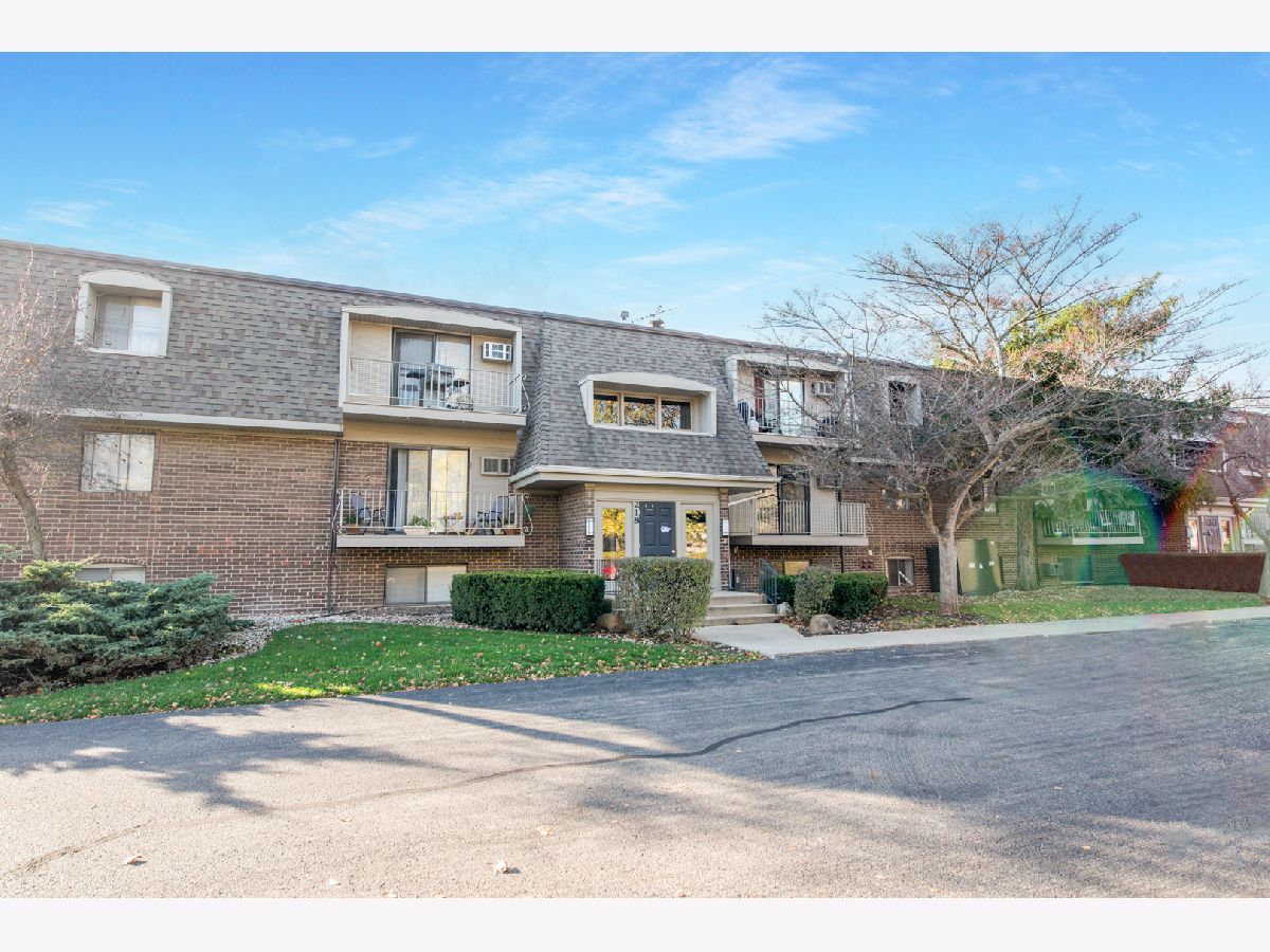 Condominiums Rented Olive Trees Naperville Illinois, 218 Bailey