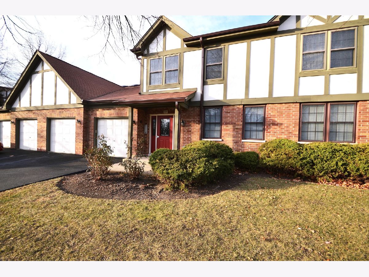 Townhomes & Condos Sold Medinah Lakes Bloomingdale Illinois, 319 Deer Glen