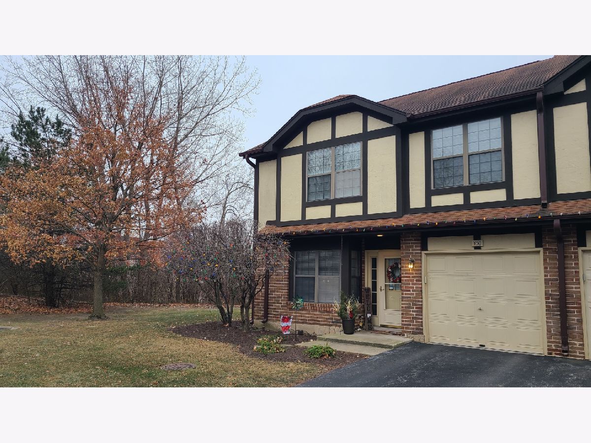 Townhomes & Condos Sold Medinah Lakes Bloomingdale Illinois, 350 Meadowview