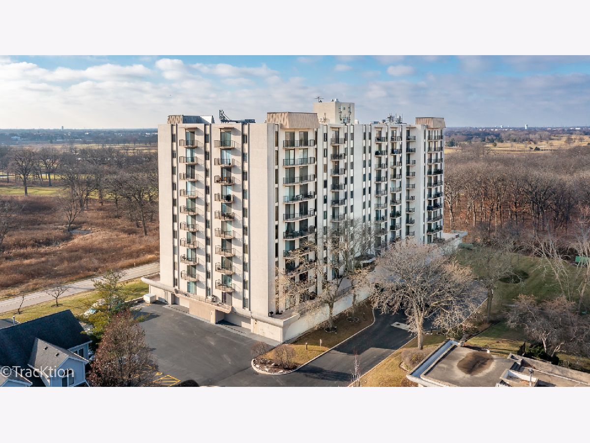 Condos & Townhomes & Homes Sold Brookwood On The Greens Wood Dale Illinois, 190 Wood Dale