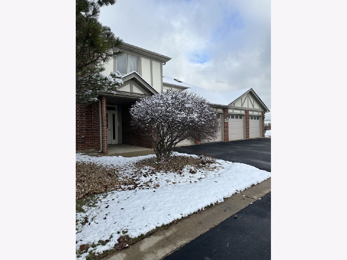 Condos & Townhomes & Homes Sold Misty Pines Tinley Park Illinois, 6242 Kallsen