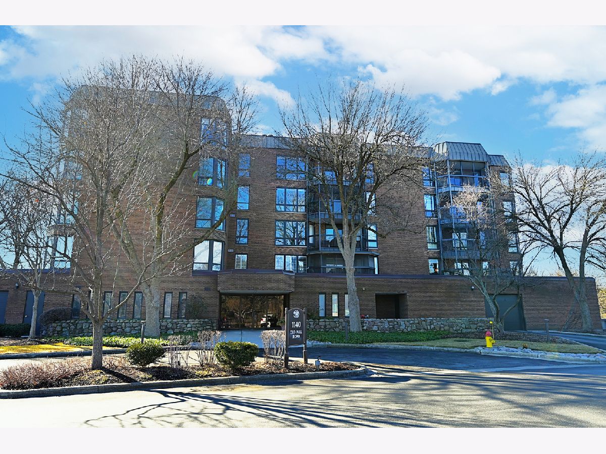 Condos & Townhomes & Homes Sold Graue Mill Hinsdale Illinois, 1140 Old Mill