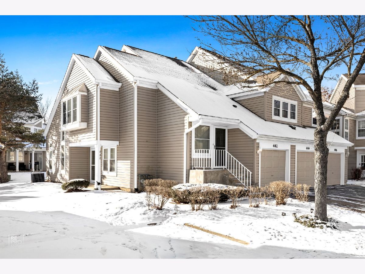 Townhomes & Condos Sold Steeplechase Carol Stream Illinois, 442 Kilkenny