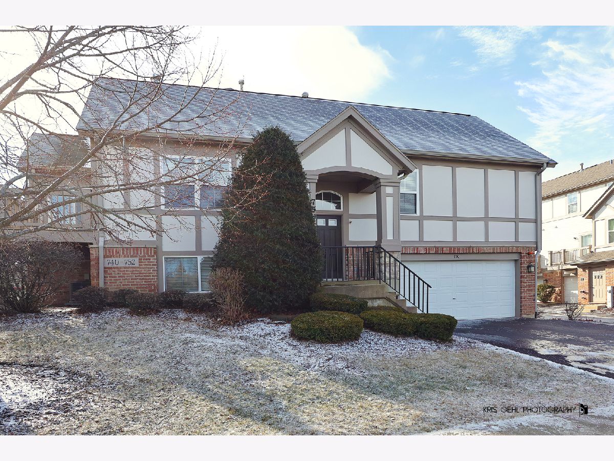Townhomes & Condos & Homes Sold Concord Village Lake Zurich Illinois, 750 June