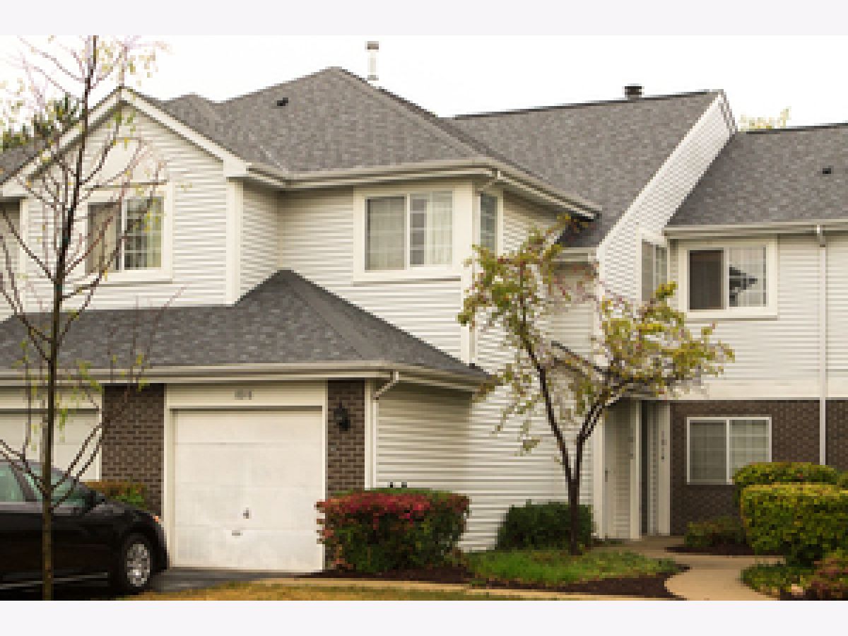Townhomes & Condos Rented Cambria Lombard Illinois, 1016 Wilson
