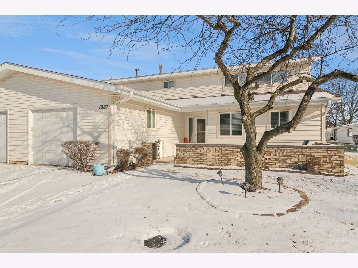 Townhomes & Condos & Homes Sold Weathersfield South Schaumburg Illinois, 1087 Foxboro